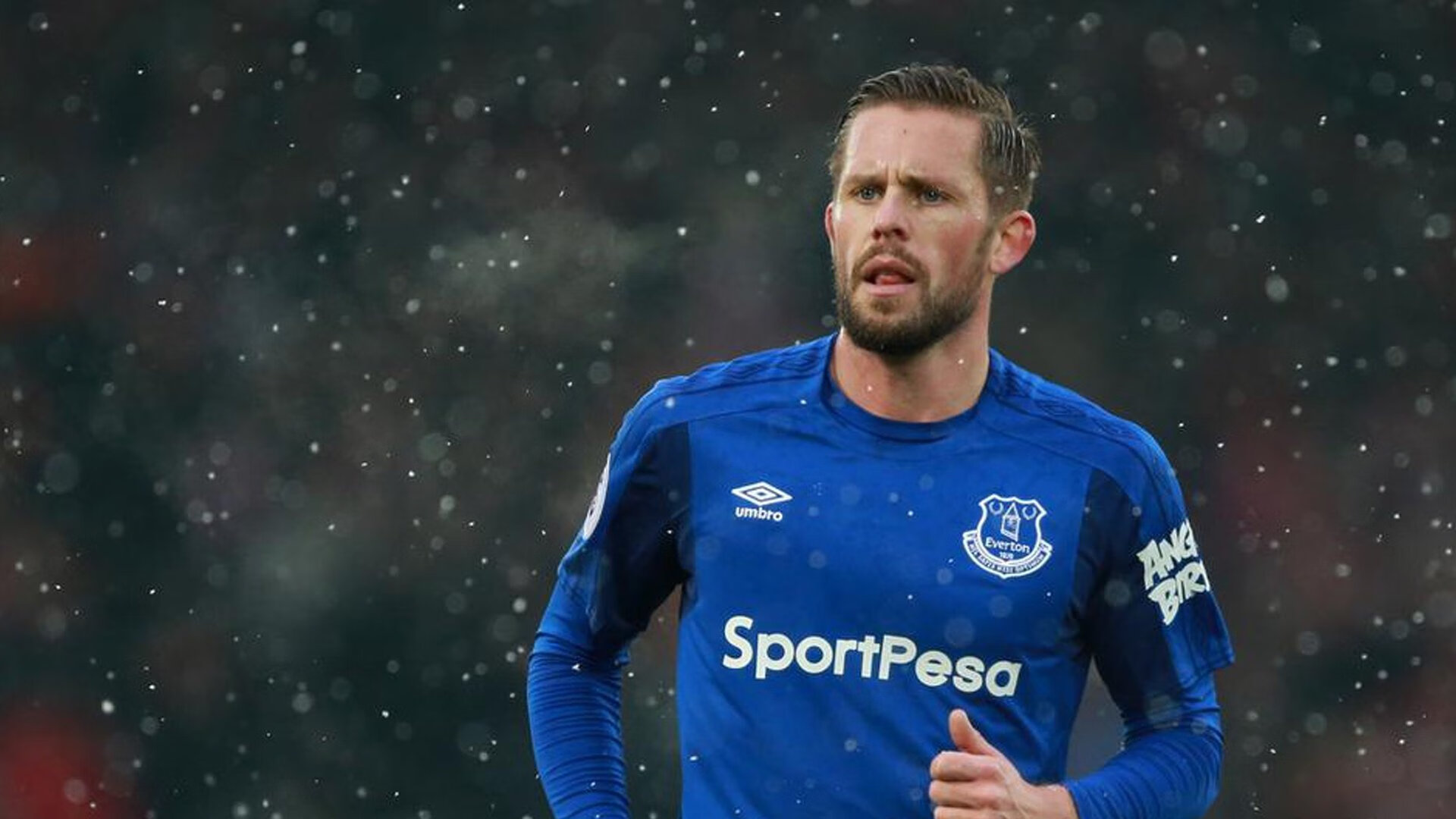 开云官网-加拿大女队自由泳实力稳步提升，加拿大泳手